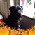 Karen Gouker Gilligan's profile image
