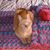 Stacey Arscott's profile image