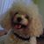 Kisha Cohagen O'Donnell's profile image