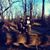 Ingrid Neltner's profile image
