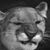 Bruce Strickling's profile image