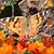 Barbara Stiller's profile image