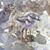 Dorie Petrochko's profile image