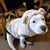 Michelle Hardesty's profile image