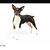 David Ticknor's profile image