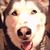 Michael Flood's profile image