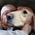 Erica Kochy's profile image