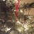 Terri Swagerty Hayter's profile image