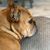Dean Tibbett's profile image