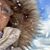 Tess Gerbasi's profile image