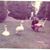 Michelle Wurm Schreck's profile image