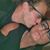 Pam Denton's profile image