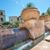 Paseo Bee Cave's profile image