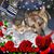 Karen Castle Millwood's profile image