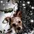 Wendy Amaro Santiago's profile image