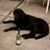 John Meyer's profile image