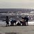 Teresa Chandler Fortner's profile image