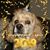 Anita Bonham Tesch's profile image