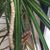 Kathrin Rudolph's profile image