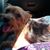 Stephanie Lee Murr's profile image