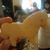 Gloria Tovar's profile image