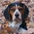 Julie Brown Jackaway's profile image