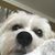 Doreece Boukis's profile image