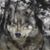 John Smith's profile image
