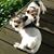 Linda Fetzer's profile image