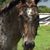 Judy Dubreuil's profile image