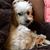 Rochelle Schaeffer's profile image