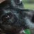 Jenn Hudler Lakomowski's profile image