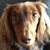 Sandy Hohn's profile image
