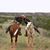 Brandy Robertson's profile image