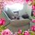 Gail Lewis's profile image