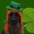 Sandy Clayton's profile image