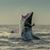 Jon Sheehan's profile image