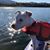 Trish Bonallo Loop's profile image