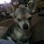 Mary Anderson's profile image