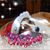 Becky Cathell Reynolds's profile image