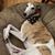 Erin Anderson's profile image
