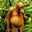 P. P.'s profile image