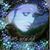 Debbee Helander's profile image