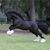 Antonio Rodriquez Lopez's profile image