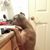 Saldivar West's profile image