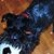 Lynn Bauer's profile image