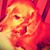Harold Deaton's profile image