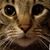 Valerie Mousaw Turner's profile image