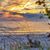 Connie Dudek-Hoskins's profile image