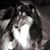 Wendy Brown's profile image